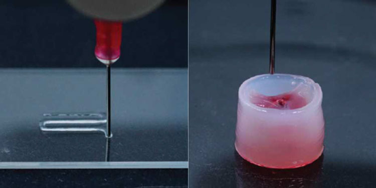 Разработан универсальный носитель для струйной 3D печати имплантатов