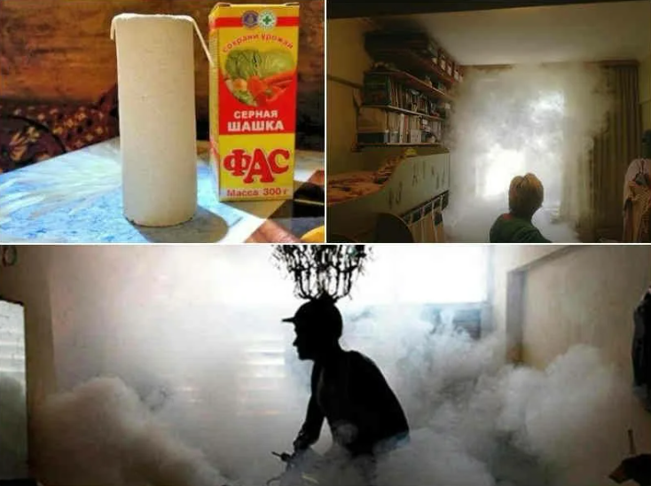 Дымовая шашка от любых нежелательных насекомых в вашем доме.