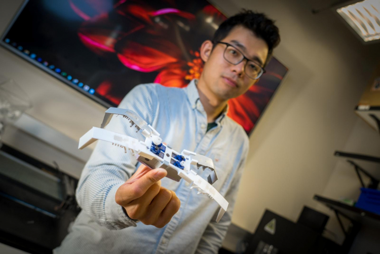 Ученые научились печатать насекомоподобных 3D роботов в считанные минуты